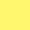 SOUS CHEMISE ROCK/PEP'S 80G ASSORTIES PT100 SS – Image 10